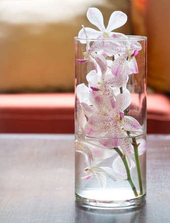 Orchid flower decorate in glass symbolize of the warm welcome to the relaxation placeの写真素材