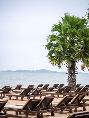Many beach chairs laying on the seashore symbolize of the summer travel destinationの写真素材