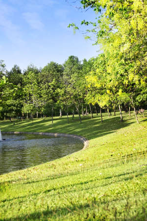 park with Basin on sunset with tree and greensward inside poolの写真素材