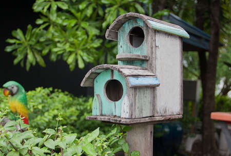 old wood of bird house two step on the park
