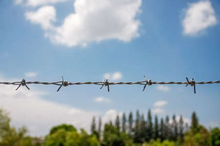 barbed fence with blue sky with cloud and top treeの写真素材