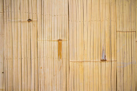 bamboo wall background