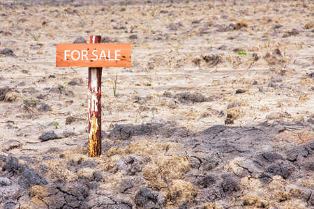 reclamation land area with wooden sign pole for saleの写真素材