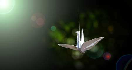 Business vision concept with paper birds on green bokeh background and lighting flare