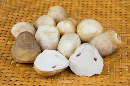 mushroom on bamboo basketの写真素材