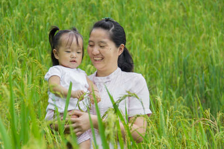 kid and mother in green rice farmの写真素材