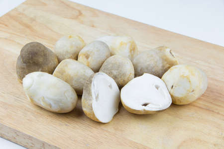 mushroom on chopping boardの写真素材