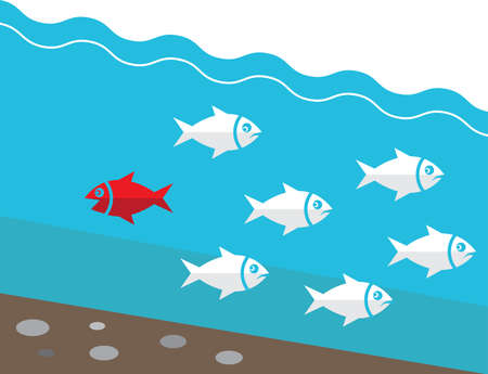 unique different fish in canalのイラスト素材