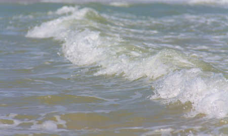 sea wave in windy day on the beach