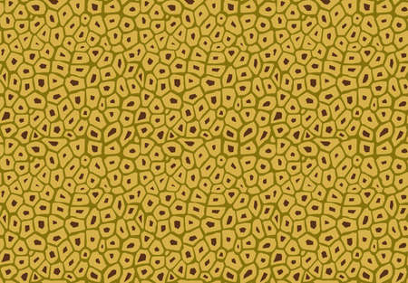jackfruit pattern texture, vector seamlessのイラスト素材