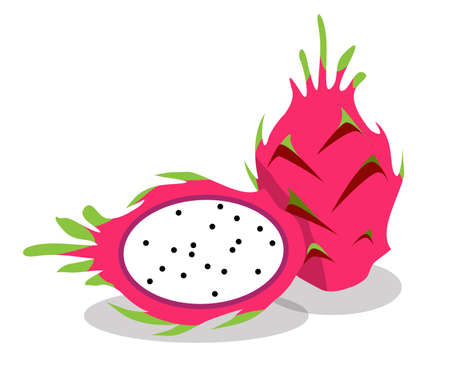 dragon fruit, flat vector illustration on white backgroundのイラスト素材