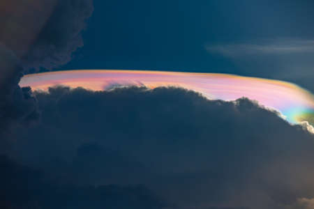 amazing Iridescent Pileusの写真素材