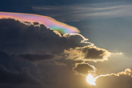 amazing Iridescent Pileusの写真素材