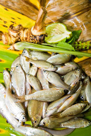 Fresh fish on banana leaf preparing for Thai food,