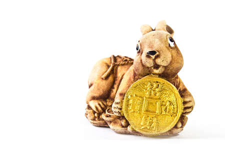 Rabbit Chinese zodiac animal の写真素材