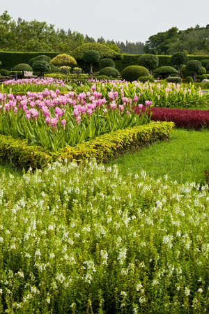flower gardenの写真素材