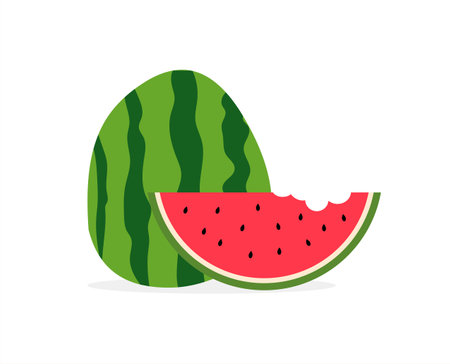 Watermelon half and sliced on white background. Fresh and juicy watermelons. cut and chopped fruit. Vector illustrationのイラスト素材