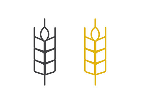 Rice icon. Wheats rye rice ears. barley field cereal nutritious. wheat grain. Vector illustrationのイラスト素材