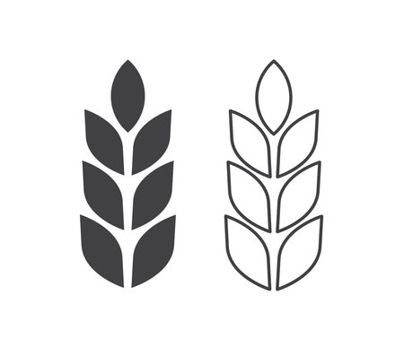 Rice icon. Wheats rye rice ears. barley field cereal nutritious. wheat grain. Vector illustrationのイラスト素材