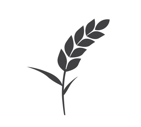 Rice icon. Wheats rye rice ears. barley field cereal nutritious. wheat grain. Vector illustrationのイラスト素材