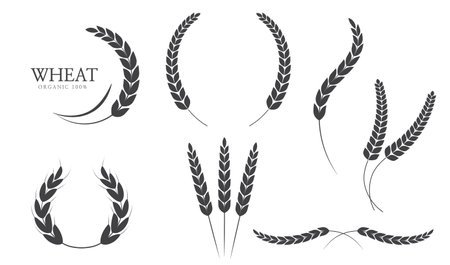 Wheat ears or rice icon. paddy wheat. laurel wreath icon. Vector illustrationのイラスト素材