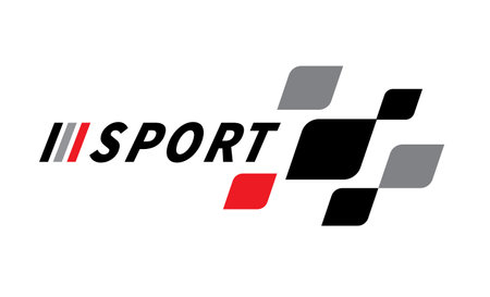 Race flag Design. Race flag icon logo. Racing stripes. Sport checkered. Motorsport graphics.のイラスト素材