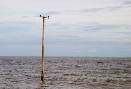 Effects of global warming in Thailand, Eroded sea Swallowed the landの写真素材