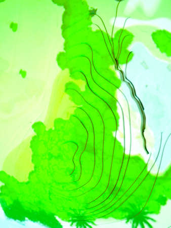 geological feature seen from above coated with fine light linesの写真素材