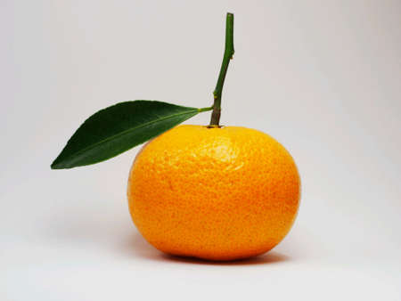Close-up orange fruit isolateの素材
