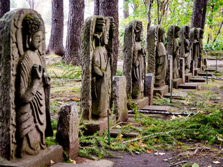 Buddhist statue located in pine forestの写真素材