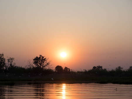 birds and the sunset  backgroundの写真素材