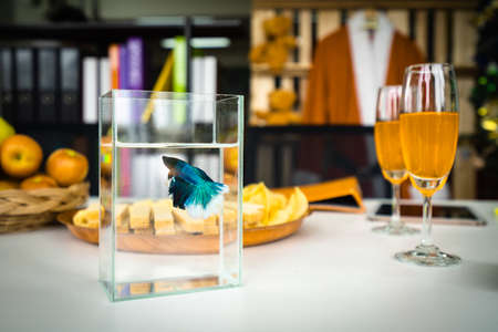 betta fish decor on xmas party roomの写真素材