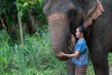 Portrait of Thai Woman In Traditional Costume with elephantの写真素材