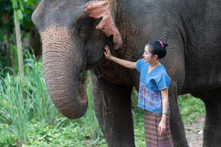 Portrait of Thai Woman In Traditional Costume with elephantの写真素材