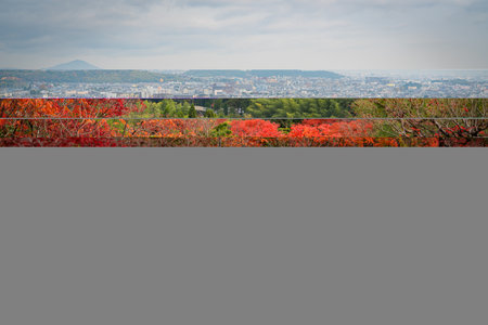 autumn season in japan nature background