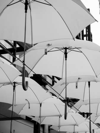 black and white umbrella pattern backgroundの写真素材
