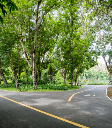 Sri Nakhon Khuean Khan Park and Botanical Garden or the lungs of Bangkok in Bang Kachao, Samut Prakanの写真素材