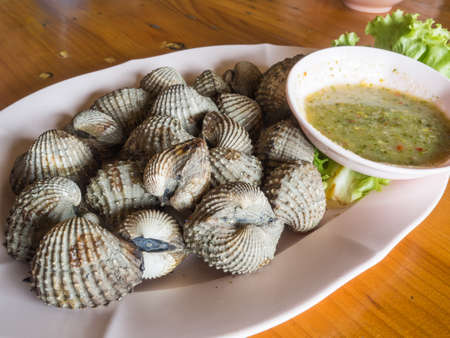 Blood cockle shell grillの写真素材