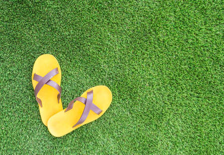sandal on green grass backgroundの写真素材