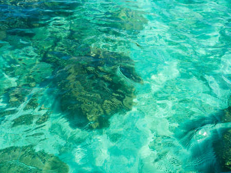 Beautiful Light reflection on green seaの写真素材