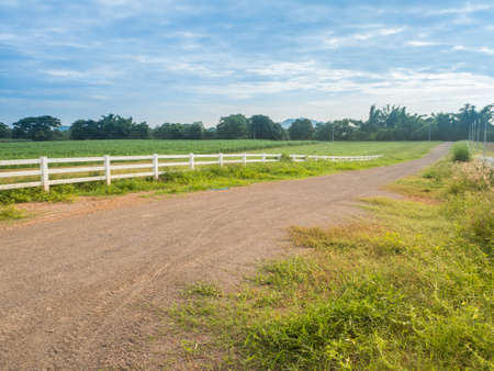 Dirt Road in farm with blue sky landscapeの写真素材