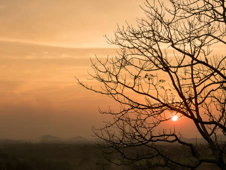 silhouette landscape tree  and sun on mountain backgroundの写真素材