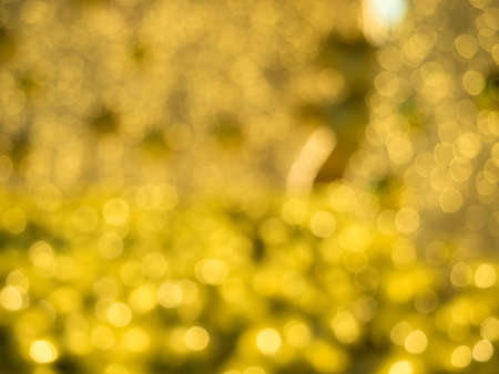 led Light beautiful Bokeh backgroundの写真素材