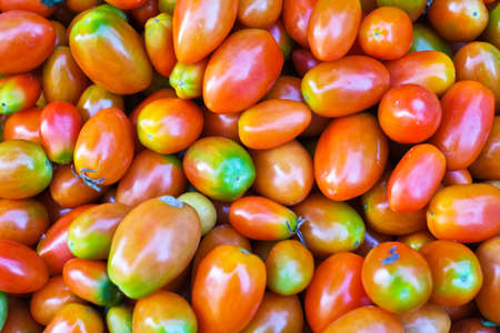 Tomato full frameの写真素材