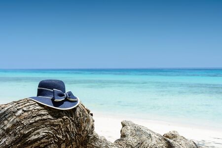 Blue woman's hat on tree near tropical beach, travel conceptの写真素材
