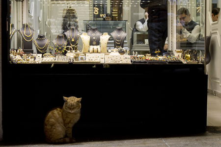 ISTANBUL, TURKEY - DECEMBER 28, 2015: Ginger cat in front of a Jewelry store in the Grand Bazaarのeditorial素材