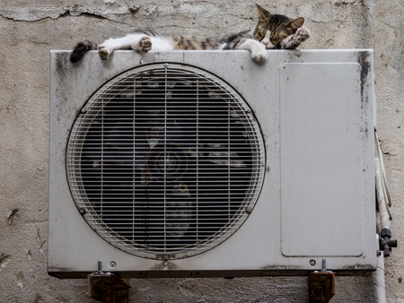 Stray cat in a street sleeping on the condenser unit AC air conditioning systemの写真素材
