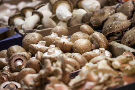 Agaricus bisporus, or brown common mushrooms for sale on a Canadian market in Montreal, Quebec.の写真素材