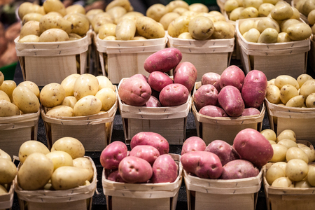 White, yellow and red potatoes on a Canadian market in Montreal, Quebec. Potatoes are one of the biggest productions of Quebec agricutlure, being exported all accross Canada and America

picture of several buckets of potatoes, red, yellow and white, on a Canadian Quebec market in Montreal.の写真素材