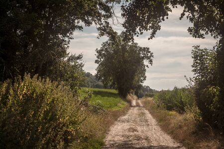 Typical French dirt road, a path in the countryside of France, with crops and fields ready to be harvested in an agricultural area of the country during summerの写真素材